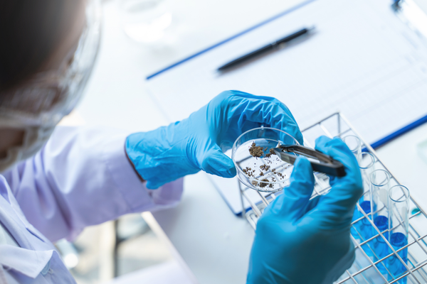 Half-Life and Pharmacokinetics in Research