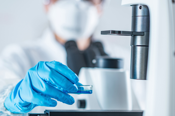 Melanotan II (MT-II) and Libido