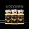 wolverine10 Wolverine 10mg (BPC + TB + Free Bac Water) – Research Bundle