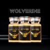 Wolverine 20mg (BPC + TB5 + Free Bac Water) – Research Bundle